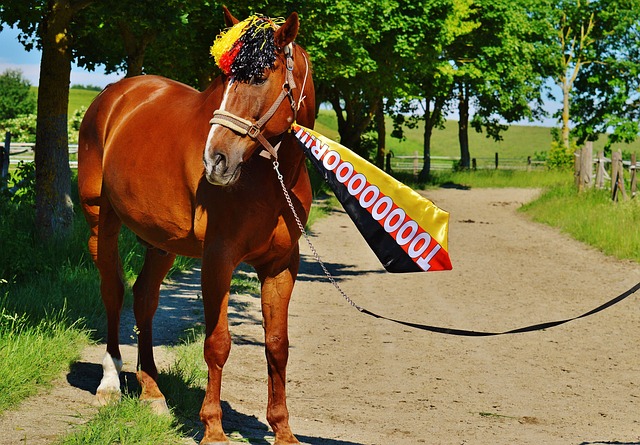 新个人记录 新个人记录